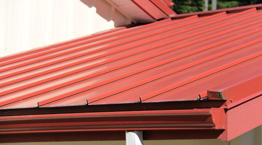 Gutter Debris Removal in Lexington, MS